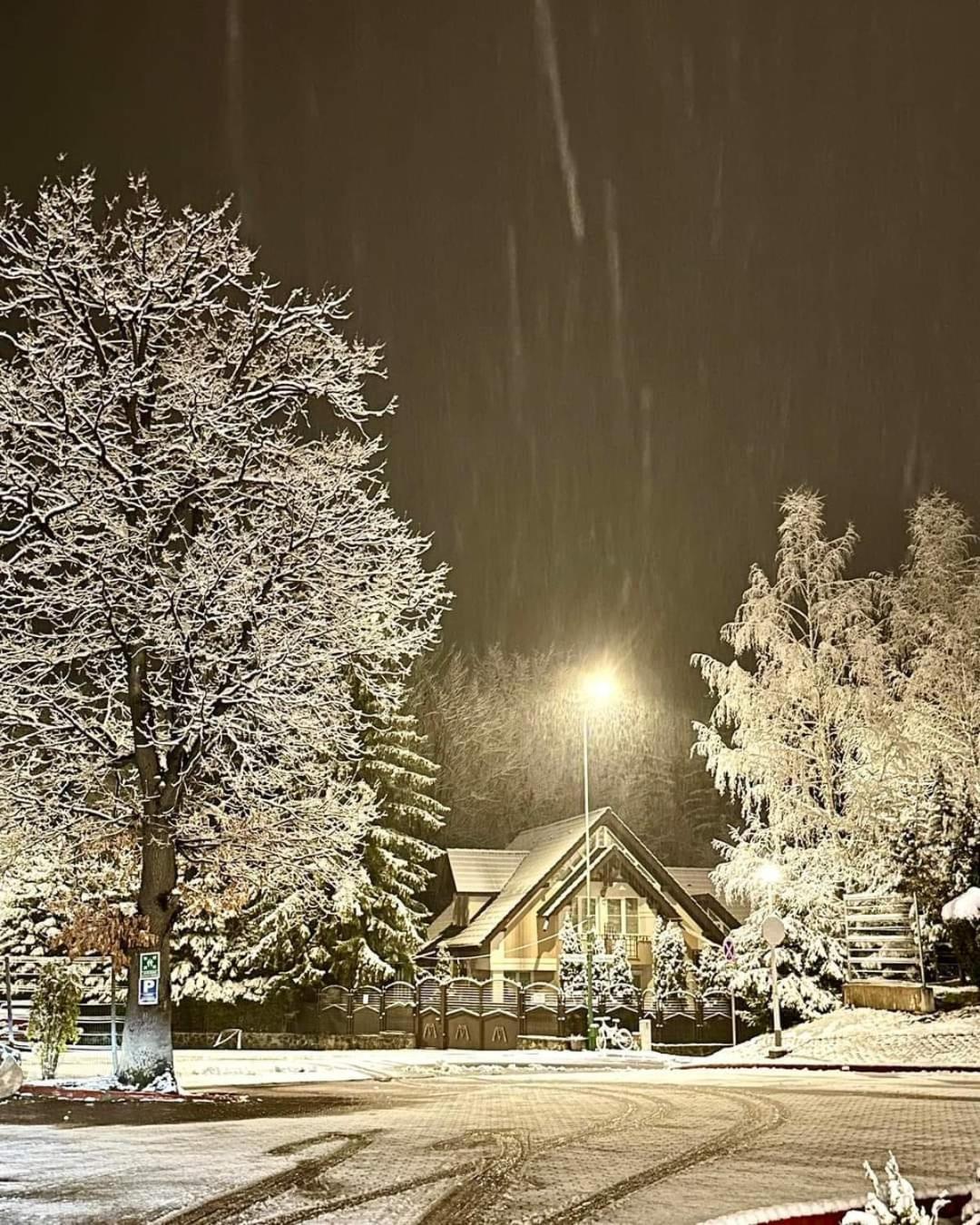 Pensiunea Colina Poiana Brasov Exterior foto