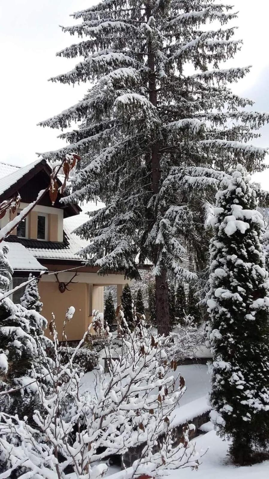 Pensiunea Colina Poiana Brasov Exterior foto