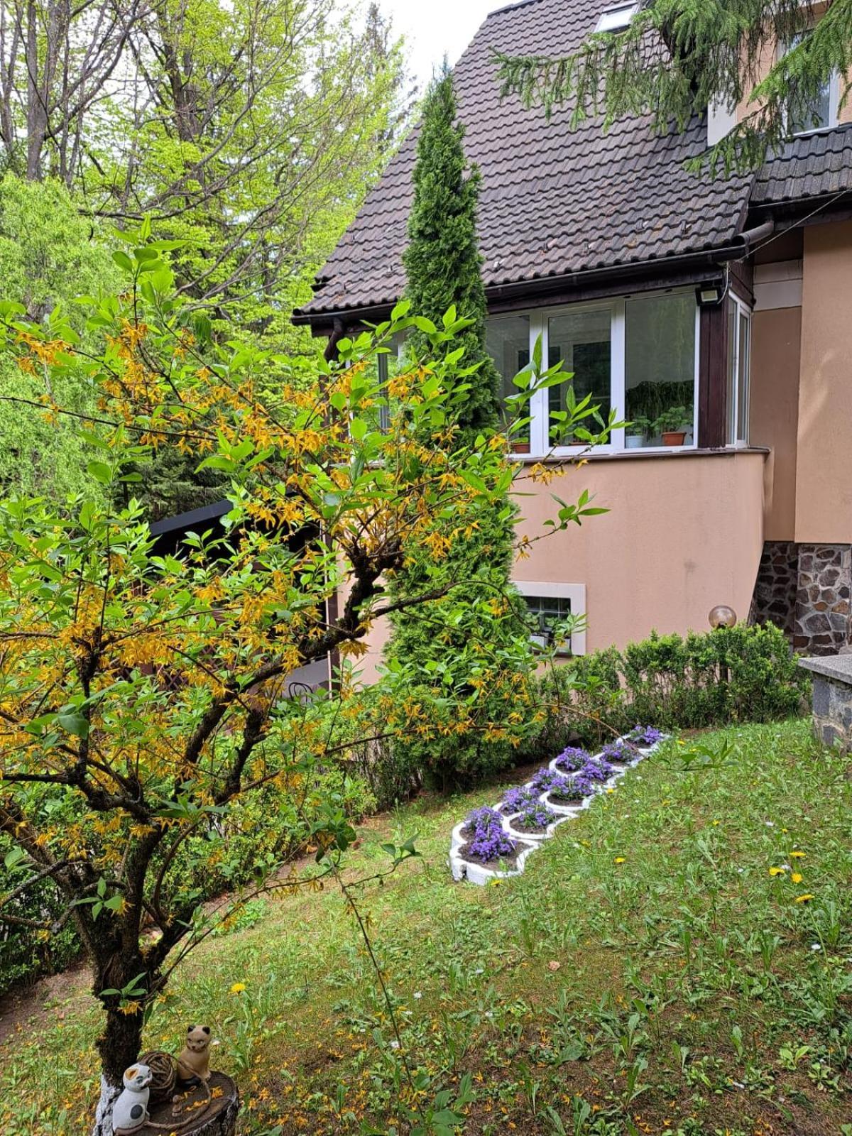 Pensiunea Colina Poiana Brasov Exterior foto