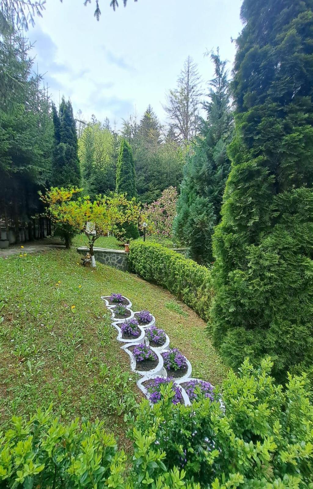 Pensiunea Colina Poiana Brasov Exterior foto