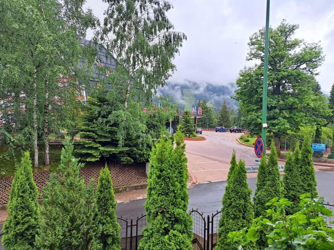 Pensiunea Colina Poiana Brasov Exterior foto