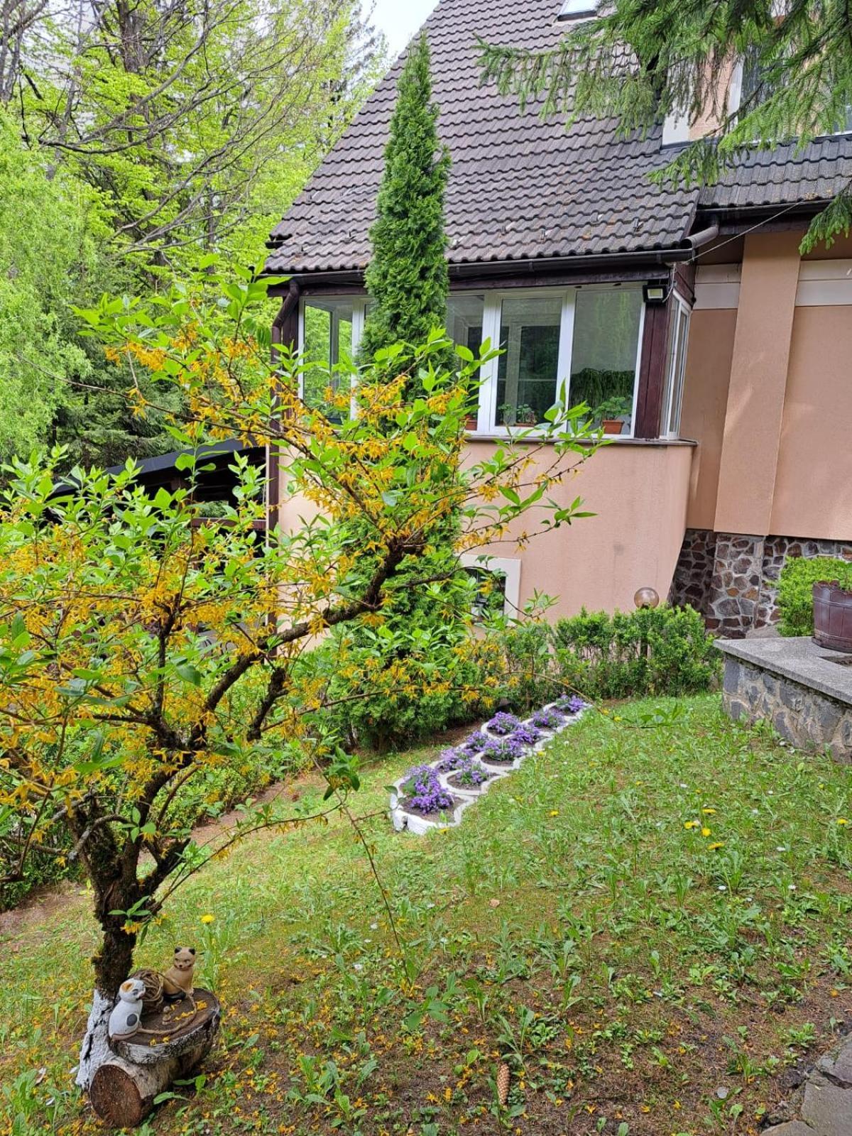 Pensiunea Colina Poiana Brasov Exterior foto