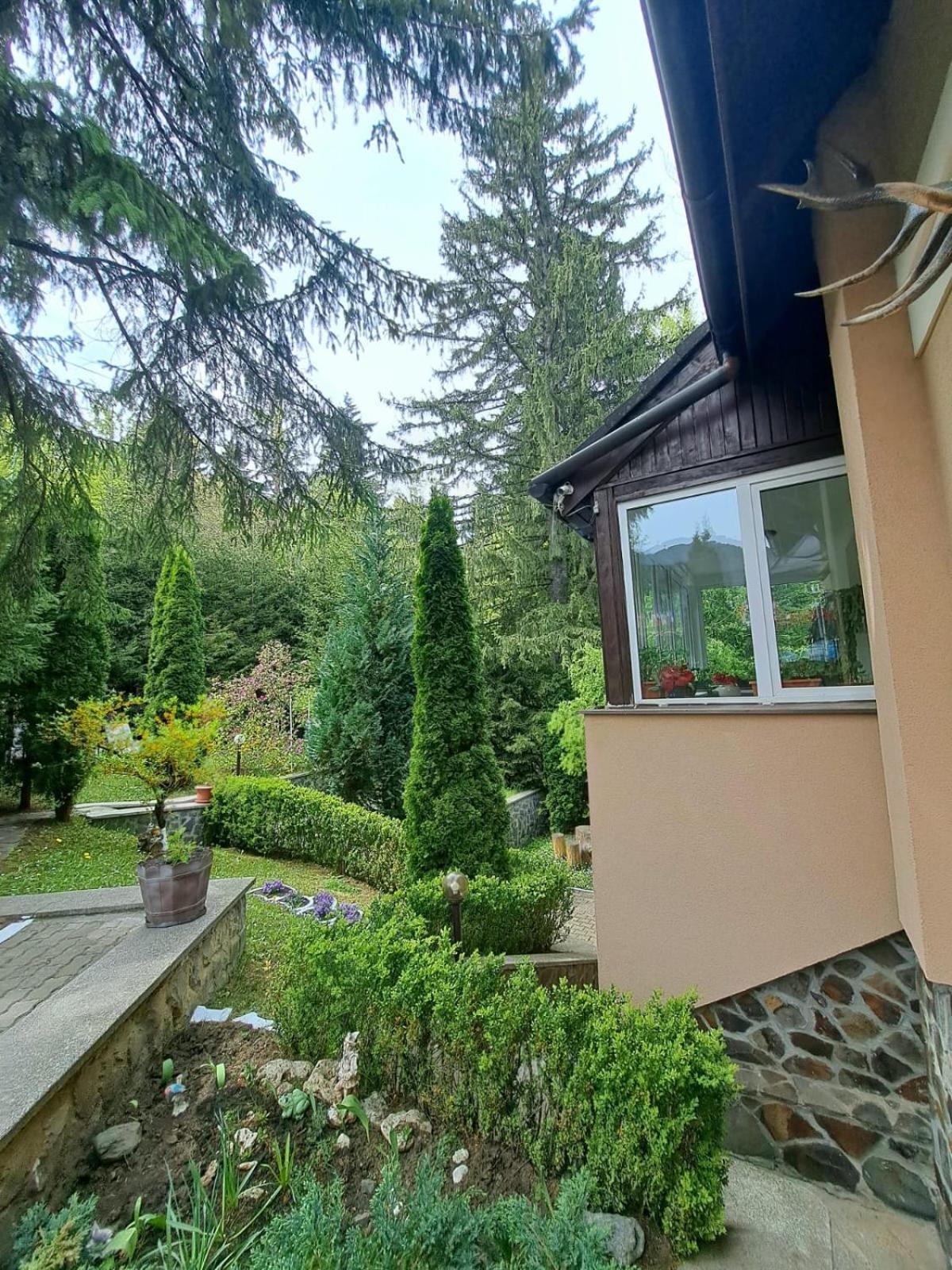 Pensiunea Colina Poiana Brasov Exterior foto