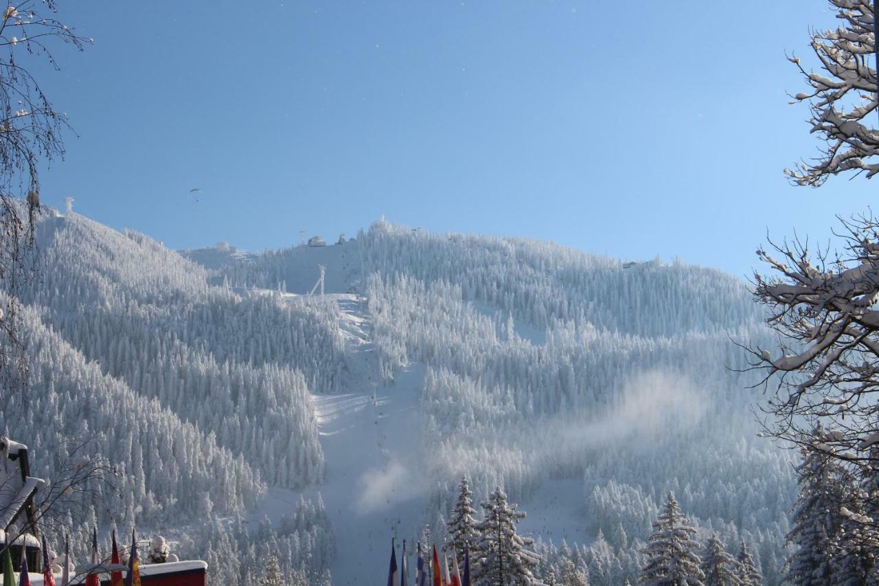 Pensiunea Colina Poiana Brasov Exterior foto